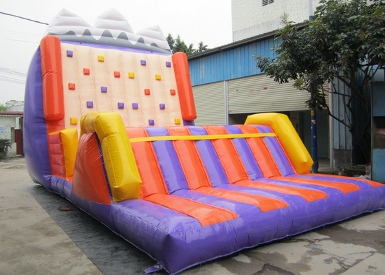 Tear Resistance Inflatable Climbing Wall , Blow Up Rock Climbing Wall For School Activities