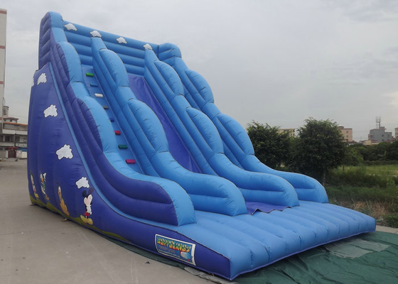 Inflatable Bouncy Castle With Slide Blue Color Cartoon Characters Printed