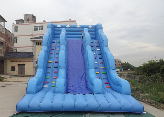 Inflatable Bouncy Castle With Slide Blue Color Cartoon Characters Printed