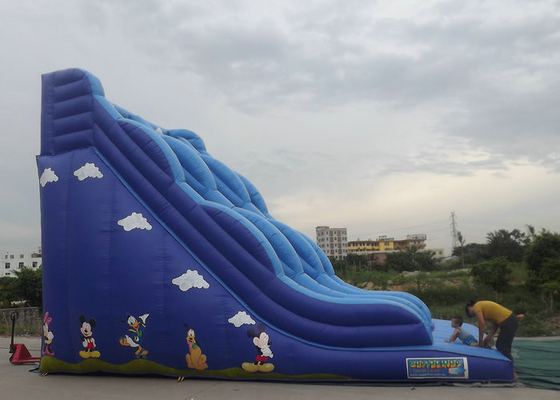 Inflatable Bouncy Castle With Slide Blue Color Cartoon Characters Printed