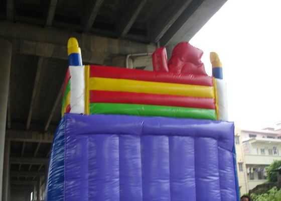6mx4m Commercial Inflatable Slide High Durability PVC Materials For Children