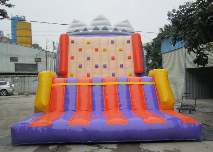 Tear Resistance Inflatable Climbing Wall , Blow Up Rock Climbing Wall For School Activities