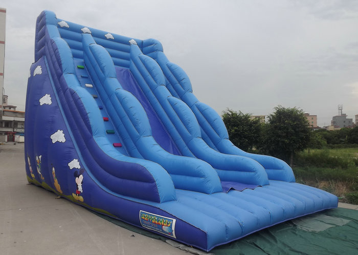 Inflatable Bouncy Castle With Slide Blue Color Cartoon Characters Printed